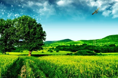 Plain Black Wallpapers Android   New Wallpapers Best Wallpapers ...