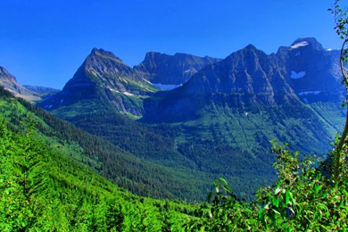 SUMMERTIME COLORS WALLPAPER   (