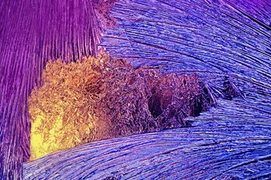 Iphone Wallpapers High Resolution 331Z HDW   HD Wallpaperd