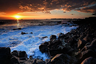 Free PC Wallpapers And Screensavers   2 Items