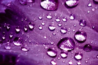 Colorful iPhone Wallpapers In Hi Res For Backgrounds