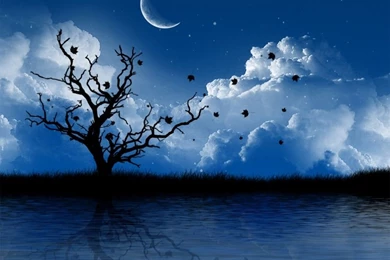 Mobile Phone Nature Wallpapers Hd (7)   Funny Images And Funny ...