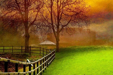 Android lock screen wallpaper 1080x1920 hd nature wallpapers for mobile.jpg