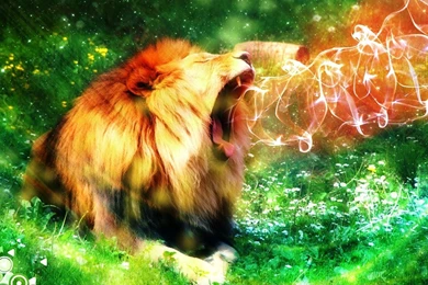 Flame From The Lion's Mouth Wallpapers 27121