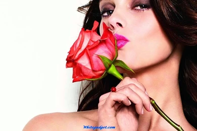 109529d1340085404 ashley greene wallpaper ashley greene pics.jpg