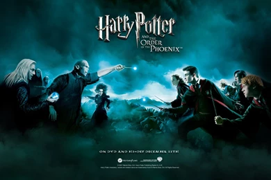 Order Of The Phoenix   Harry Potter Wallpapers (931094)   Fanpop