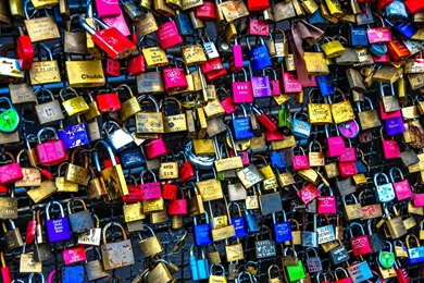 Abstract Photography Color