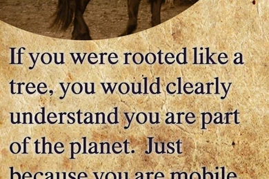 5 Best Sadhguru Jaggi Vasudev Quotes   HD Mobile Wallpapers Free ...