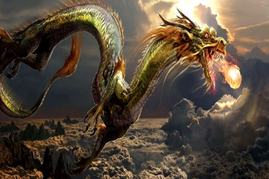 Free Dragon Wallpaper Backgrounds