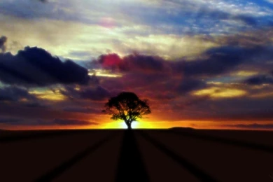 Large_High Definition Wallpapers