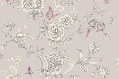 Wallpapers On Pinterest