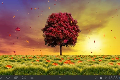 Autumn Trees Live Wallpapers   Android Apps And Tests   AndroidPIT