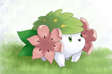 Shaymin By Nganlamsong On DeviantArt