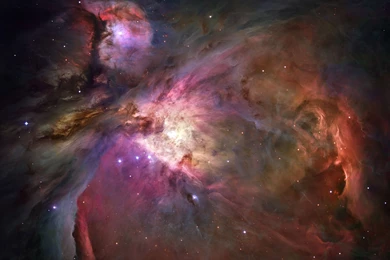 Deep Orion Nebula Wallpapers   2560x1600   813241