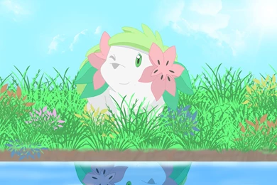 Pokemon : Shaymin By Gnoum On DeviantArt
