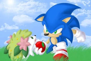 Sonic And Pokemon Together Favourites By Gheroes48 On DeviantArt