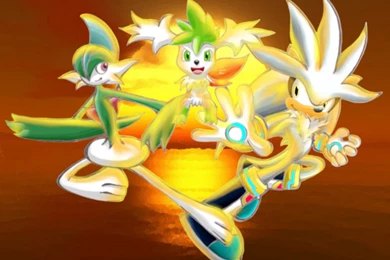 Shayminskyform   DeviantArt