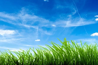 HD Best Desktop Wallpapers: Blue Wallpapers   Part1