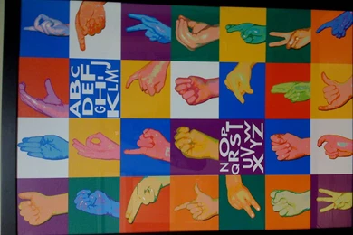 Pepsi Refresh Project