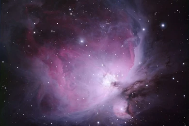 Orion Nebula Hubble   Pics About Space