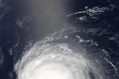 Main Celia Amo Lrg Full Wallpapers   (