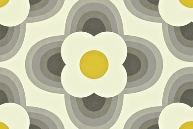 Orla Kiely Wallpapers From Harlequin