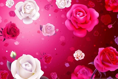 Valentine Day Rose Wallpapers – Valentine Week 2016