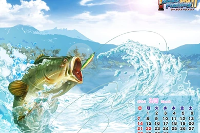 Hooked Again Real Motion Fishing Wallpapers   209436