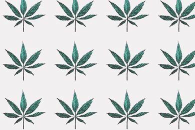 Lined Weed Leaves iPhone Wallpapers   Hipster Wallpapers