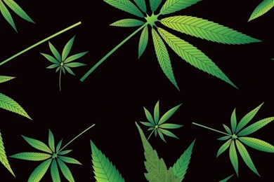 HTC Desire 626 Wallpaper: Epic Weed Mobile Android Wallpapers