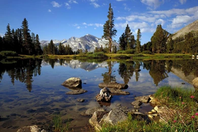 Picturesque Landscapes (landscape Picturesque Second Series 1920 ...