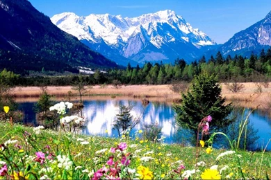 Wallpapers Mandala Com Scene Picturesque Landscape Spring Hd Html ...