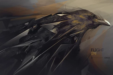 Raven HD Wallpapers   HD Wallpaper Backgrounds Of Your Choice