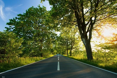 A Hayfield HD Wallpapers