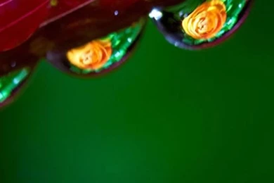 60+ Mobile Wallpapers In HD For Free Download