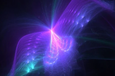 Gallery For   Colourful Butterflies Wallpapers For Mobile