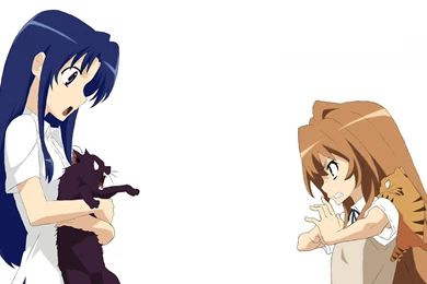 Cats, Cats Wallpapers, Desktop Wallpapers