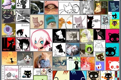 Anime Cats Wallpapers By IceSkating Otaku 813 On DeviantArt