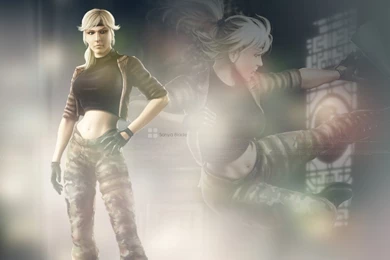 Sonya Blade   The Ladies Of Mortal Kombat Wallpapers (23802289 ...