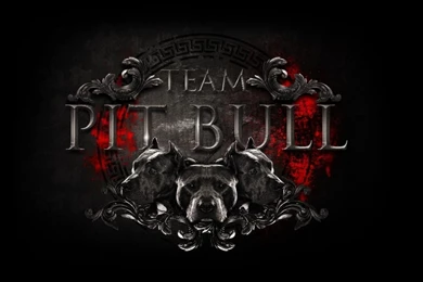 Wallpapers Pitbull Logo Team Pit Bull Fight Club Mma Mixed Martial ...