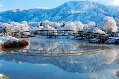 The 50 Best Desktop Wallpapers For 2013