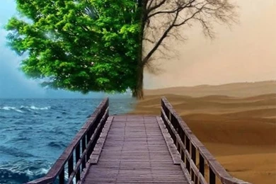 10 Highly Detailed Wallpapers For Iphone 5