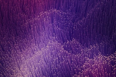 Top iPhone 6 Wallpapers To Download. If You Love The Picture ...