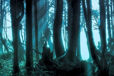 TOP IPHONE 5S WALLPAPER WF1012