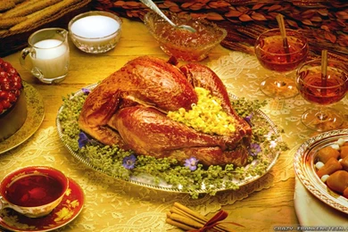 Thanksgiving Day Turkey Wallpapers   Crazy Frankenstein