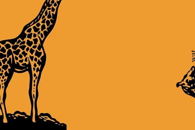 Wat Giraffe desktop backgrounds