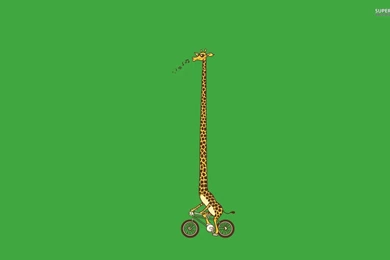 Giraffe Desktop Backgrounds   Wallpapers Cave