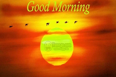 New Good Morning Wallpapers