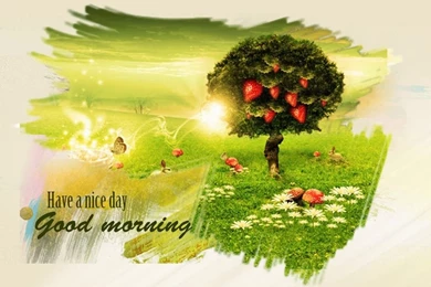 Good Morning Wallpapers, Good Morning Images, Good Morning ...