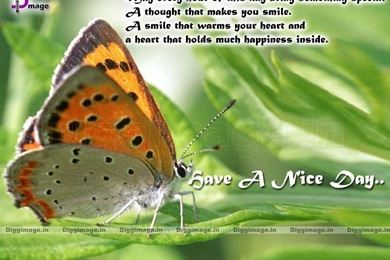 GOOD MORNING WALLPAPER 1024X768 DOWNLOAD   Good Morning & Good Night